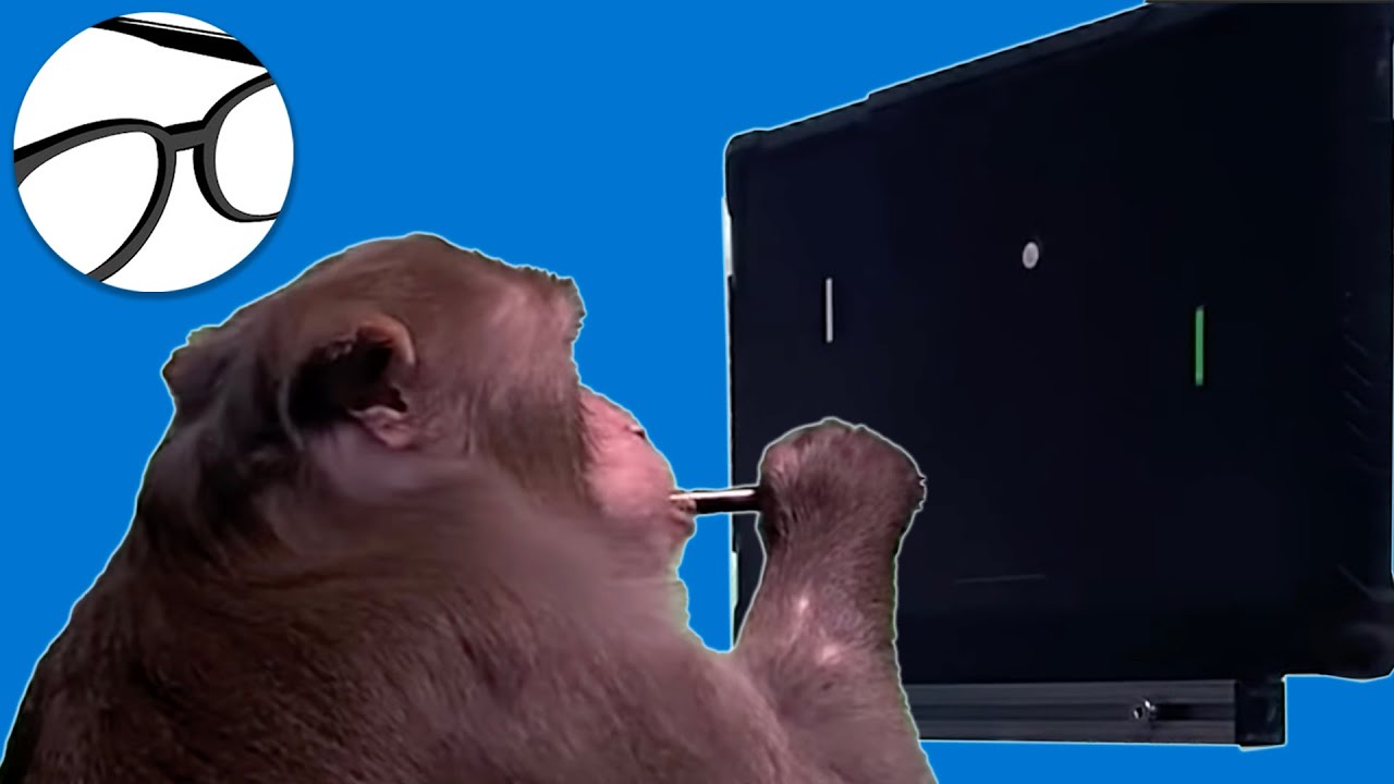 This monkey means no more foreign languages or passwords--but beware! [Neuralink Brain Pong]
