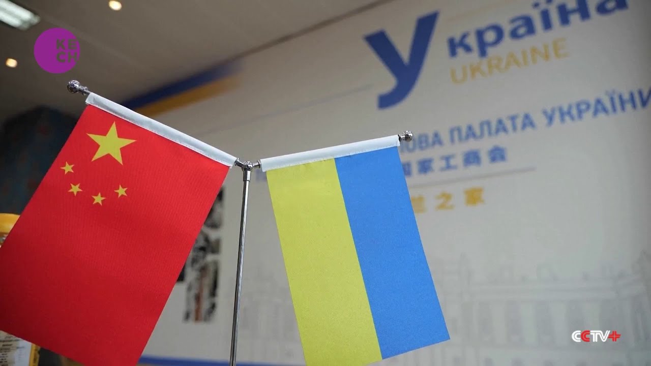 Ukraine crisis disrupts Ukrainian export to China