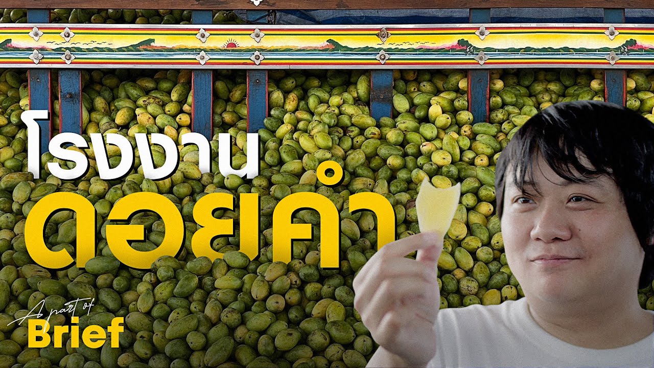 กว่าจะเป็นผลไม้อบแห้ง “โรงงานดอยคำ” | Brief by Kodey