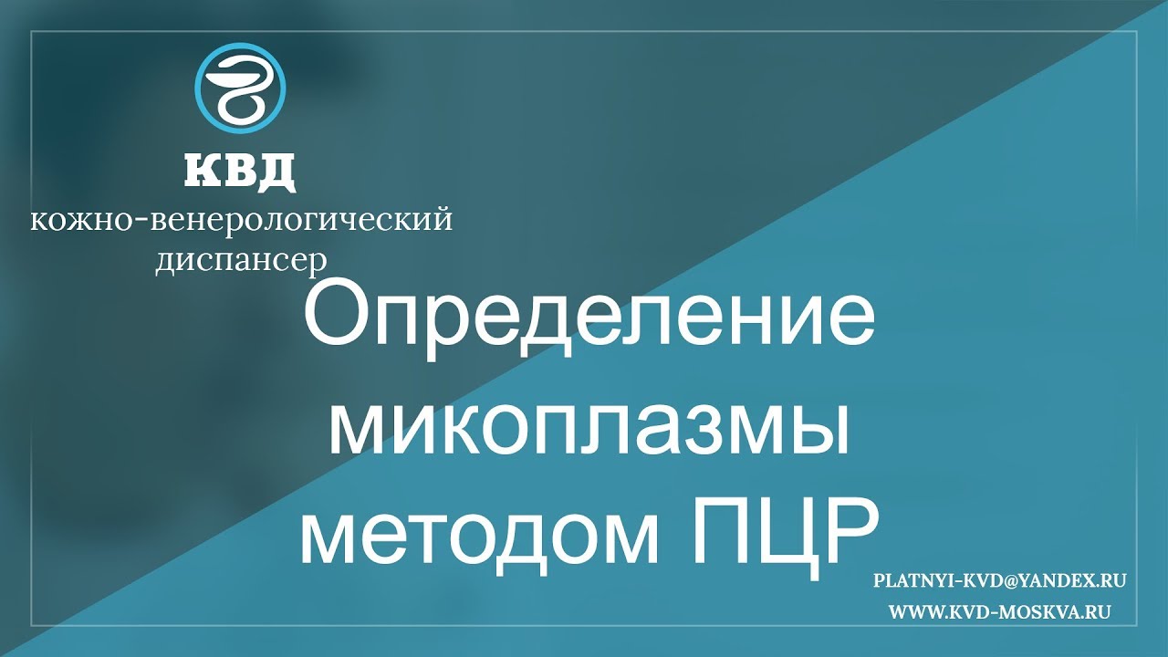 Определение микоплазмы методом ПЦР