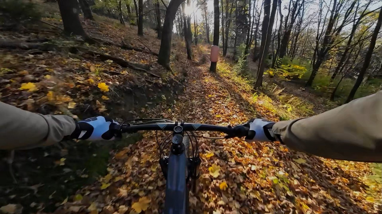 Szaju, Ty staruchu - grzeeeeeeej!!!