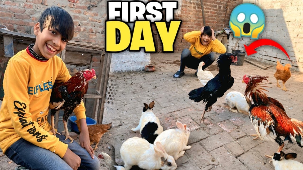 Hmray Aseel Rocky Ka First Day😍