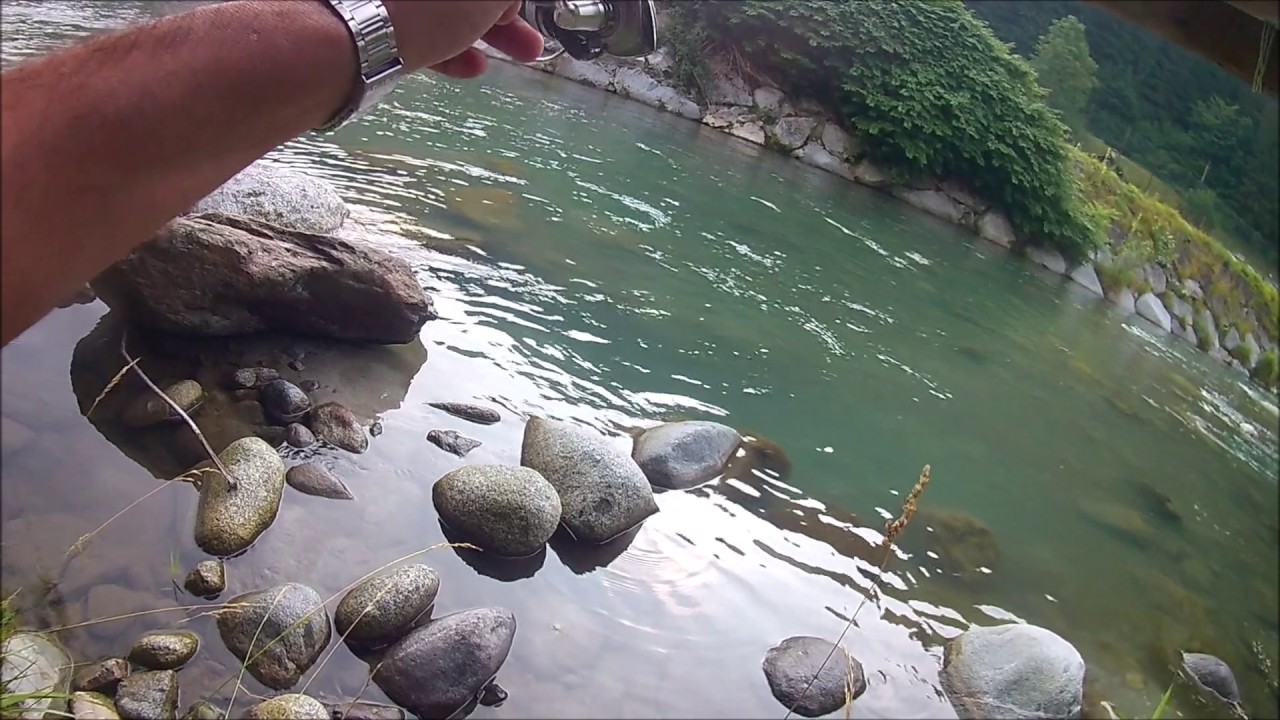 PESCA A SPINNING SARCA ANGLER'S 2019