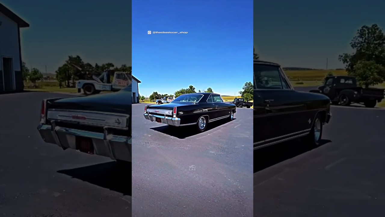 Nova, созданная для того, чтобы унижать гигантов #musclecars