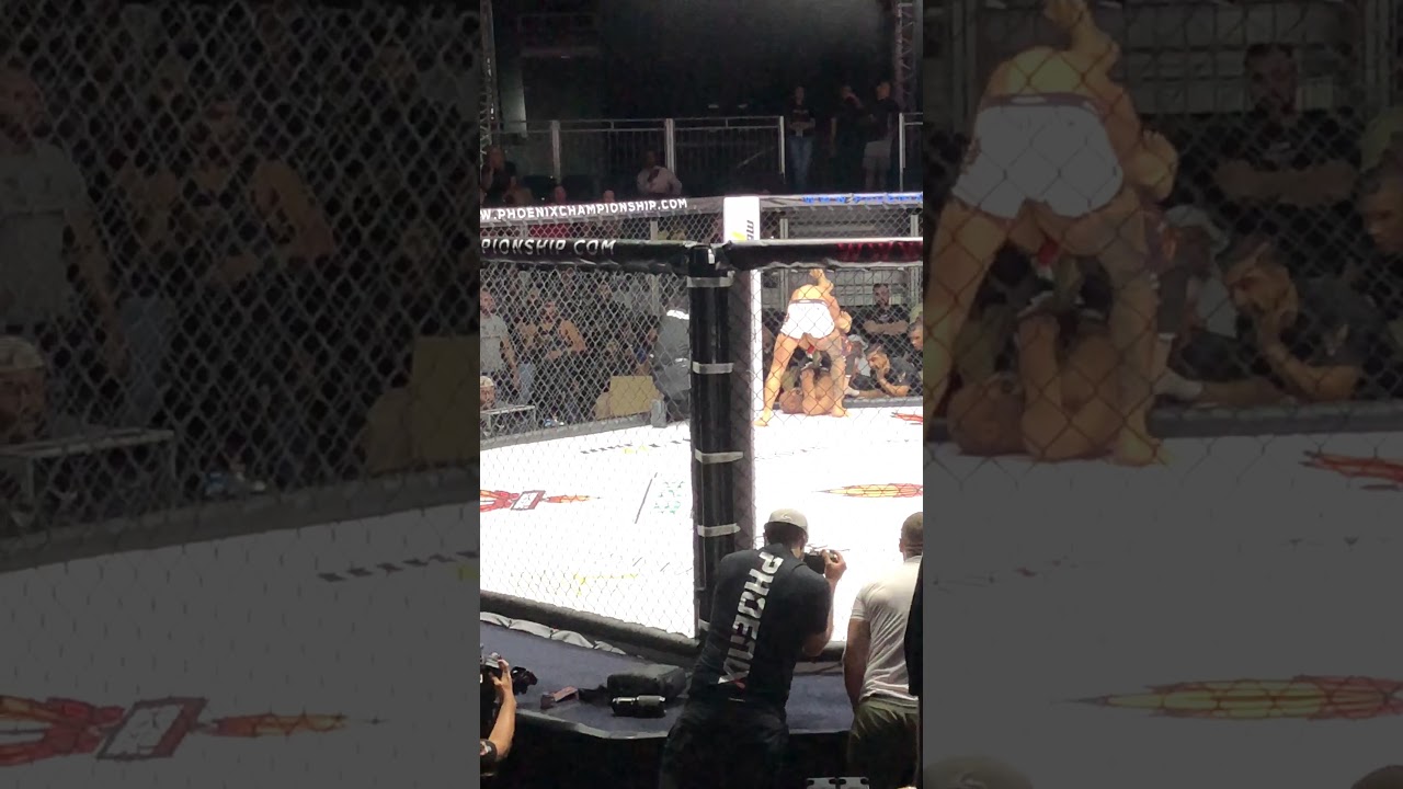 NECK BROKEN IN MMA
