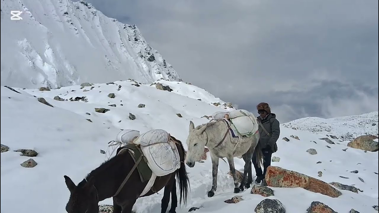 manaslu trek
