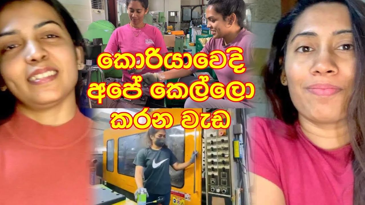 කොරියාවෙදි අපේ කෙල්ලො වැඩ | Girls Work In Korea | Korean | Sinhala | Sandu | Sendy