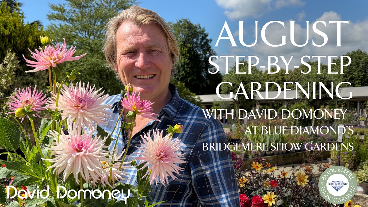 Август | Пошаговое садоводство в Bridgemere Show Gardens от Blue Diamond | Эп. 19 #лилиевыйжук