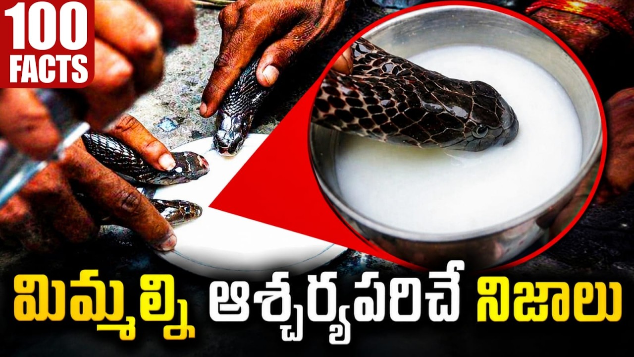 100 Facts in Telugu | New Interesting Facts in Telugu | Episode 4 | Telugu Facts | Facts Forever