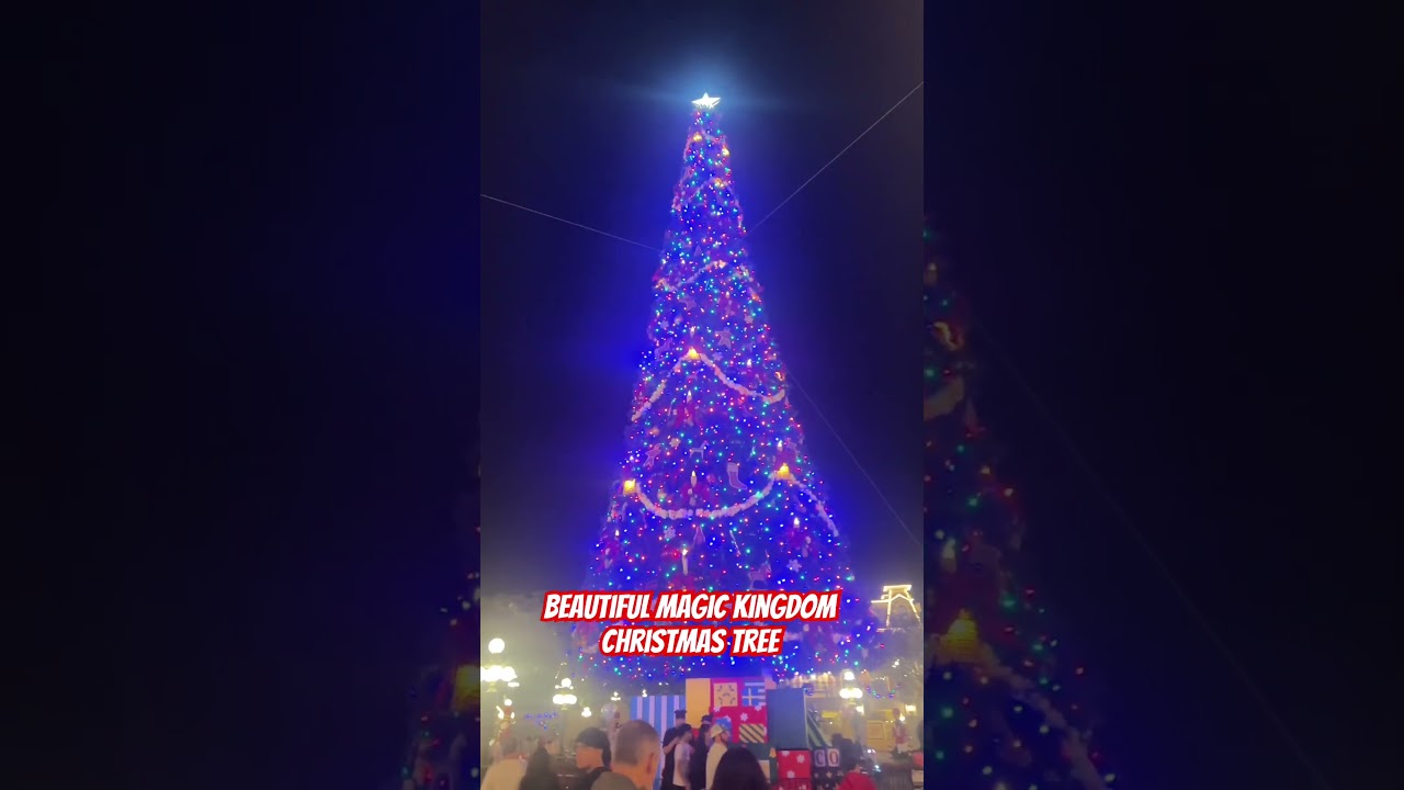 Magic Kingdom - Beautiful Christmas Tree, all Lite Up! 