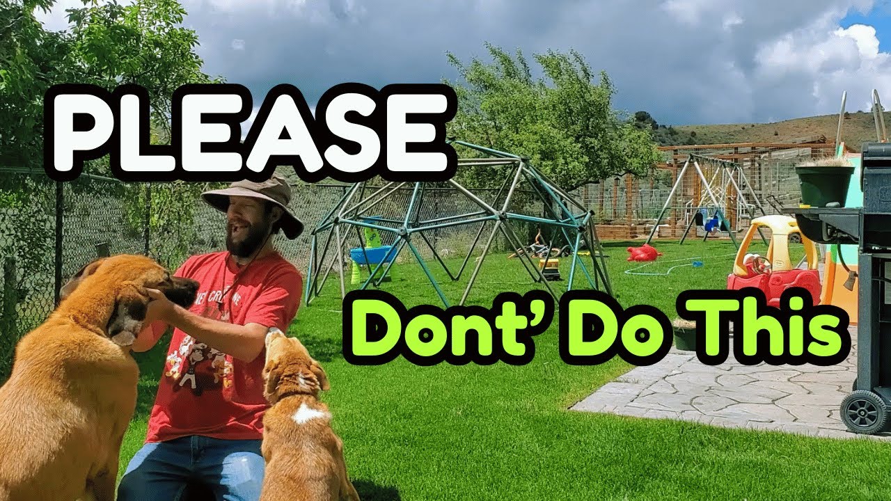 The WORST Things You Could Do To A Summer Lawn