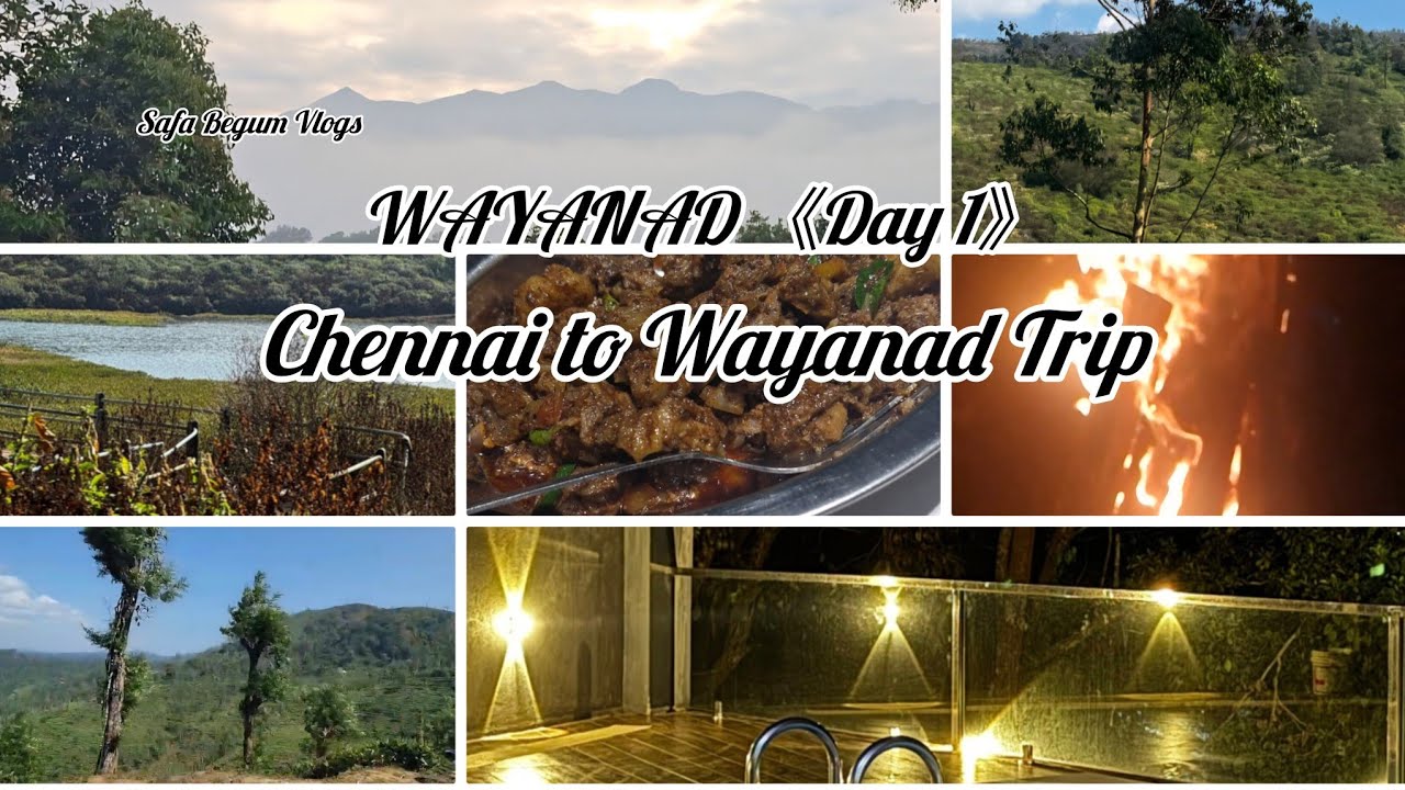 WAYANAD |சென்னை To வயநாடு: மலை உச்சியில் ஒரு சொகுசு பங்களா!🏔️Private Pool 🏊‍♂️| #yt |#ytviral | 