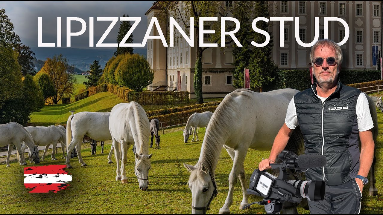 LIPIZZANER STUD (Lipizzenergestüt) - Piber - Styria - Austria