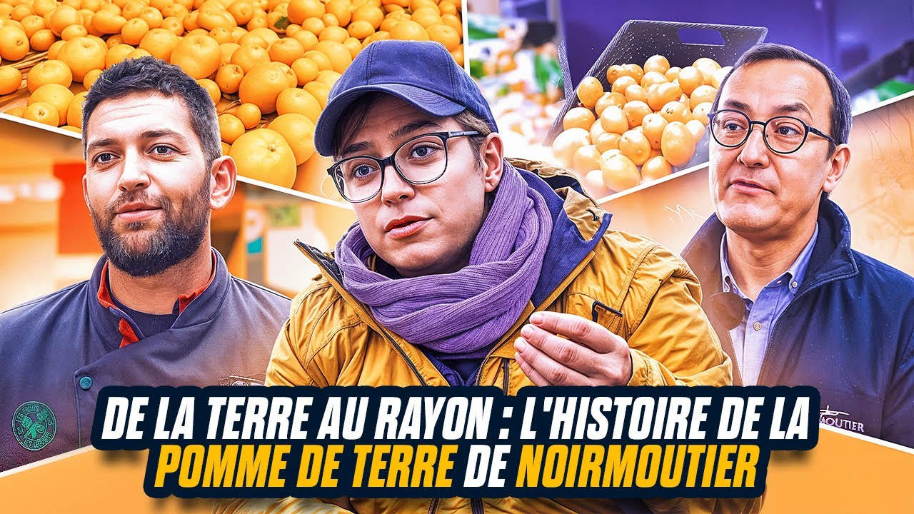 De la Terre au Rayon : l'histoire de la Pomme de Terre de Noirmoutier