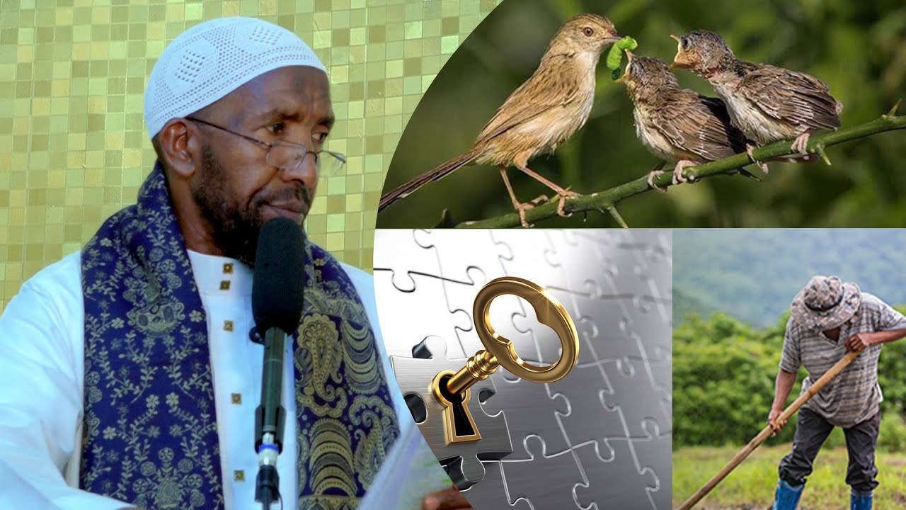 Khudbad Qiimo Badan || Waddooyin Hadaad  Marto Aad Risqi Ku Helaysid  || Sh Maxamed Haybe
