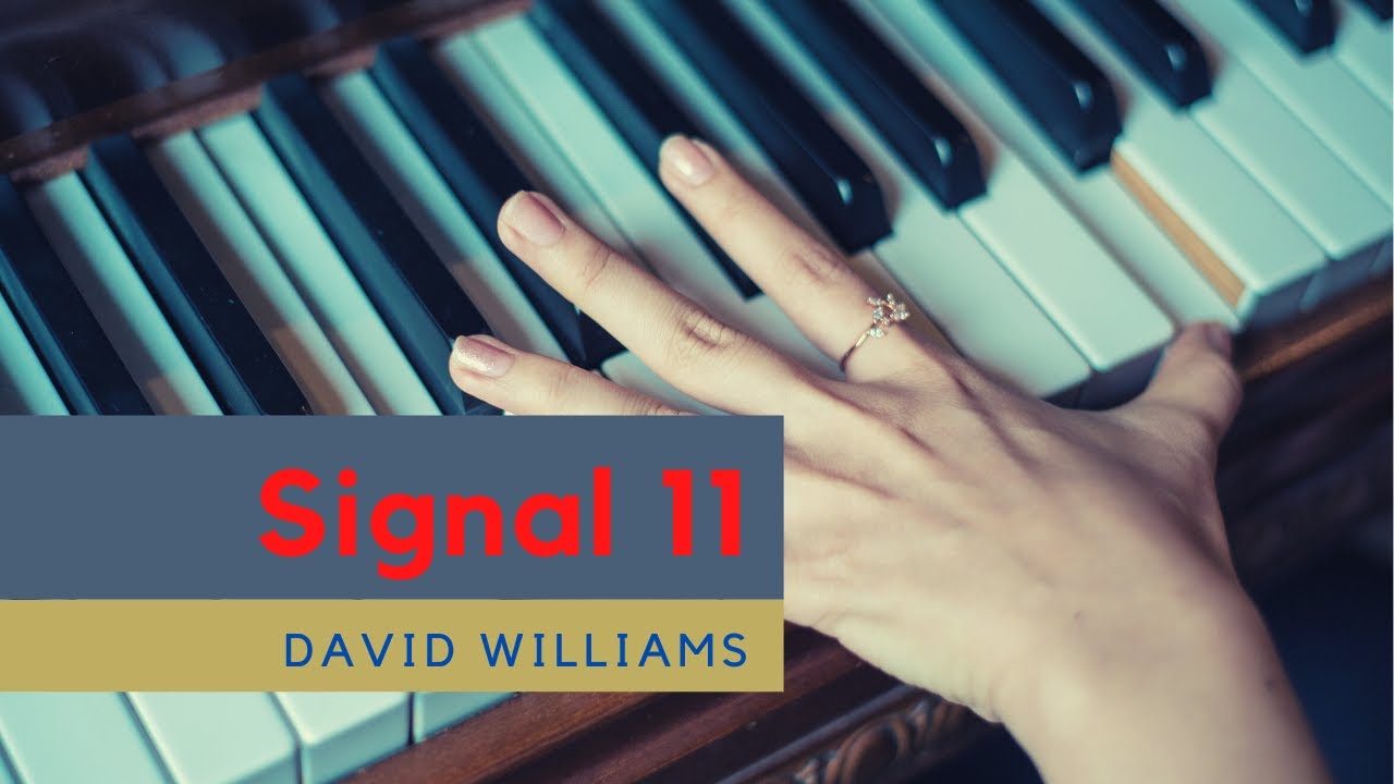Signal 11