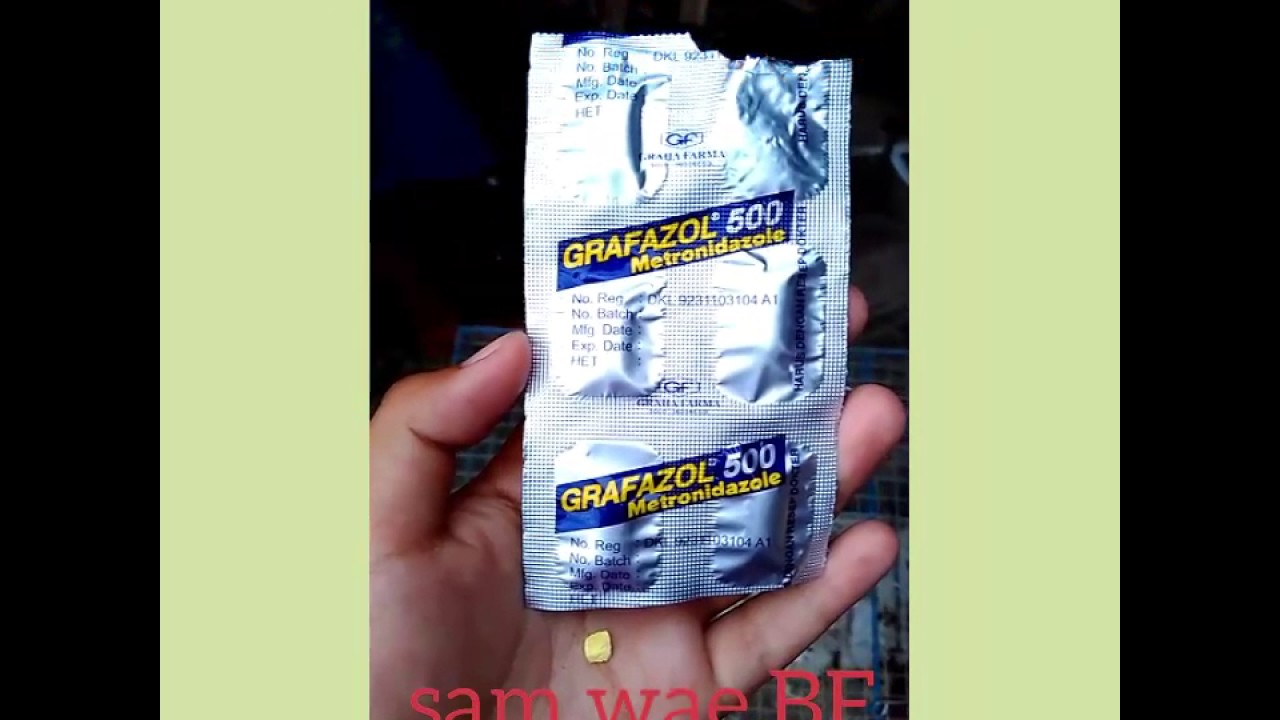 Obat goham merpati
