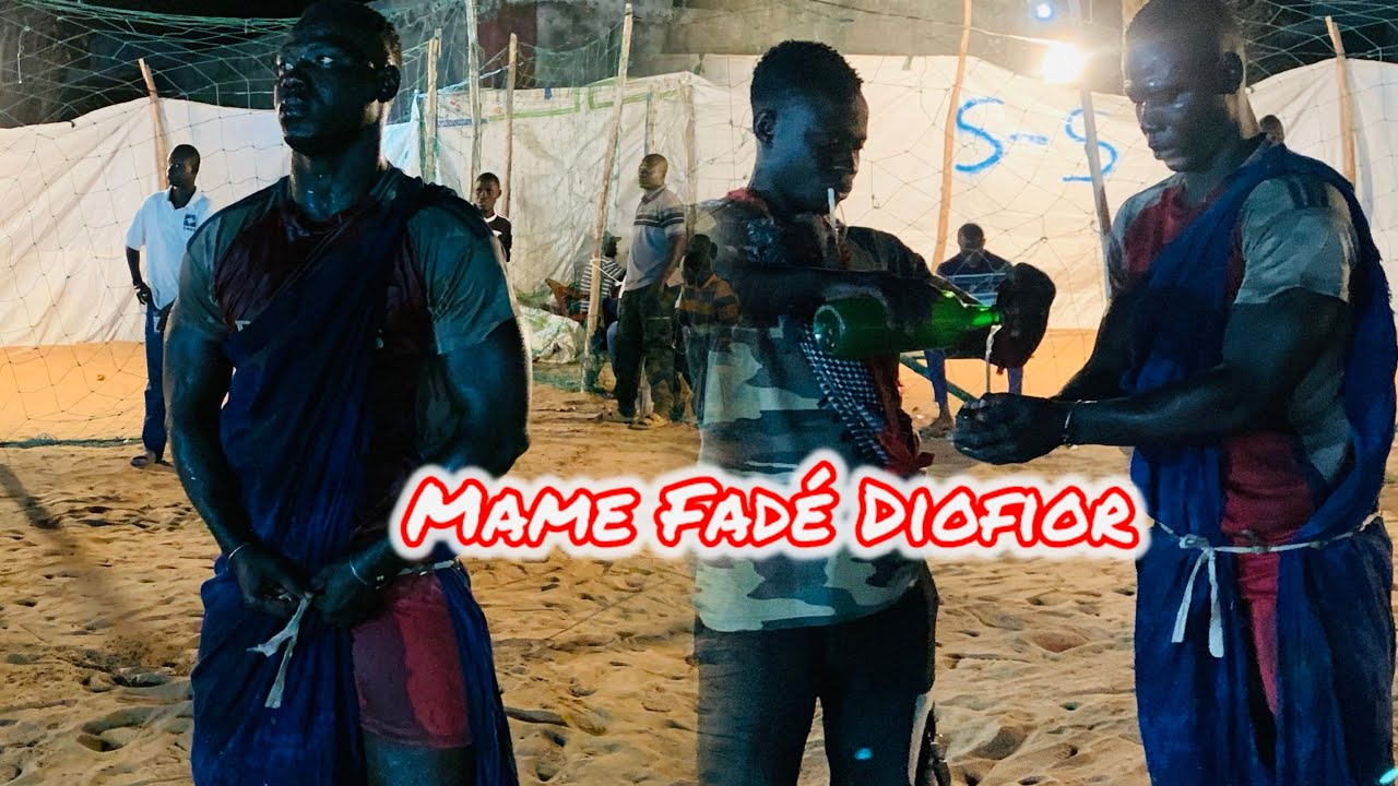 Mame Fade à Domicile le 08 Février 2026 à Diofior 