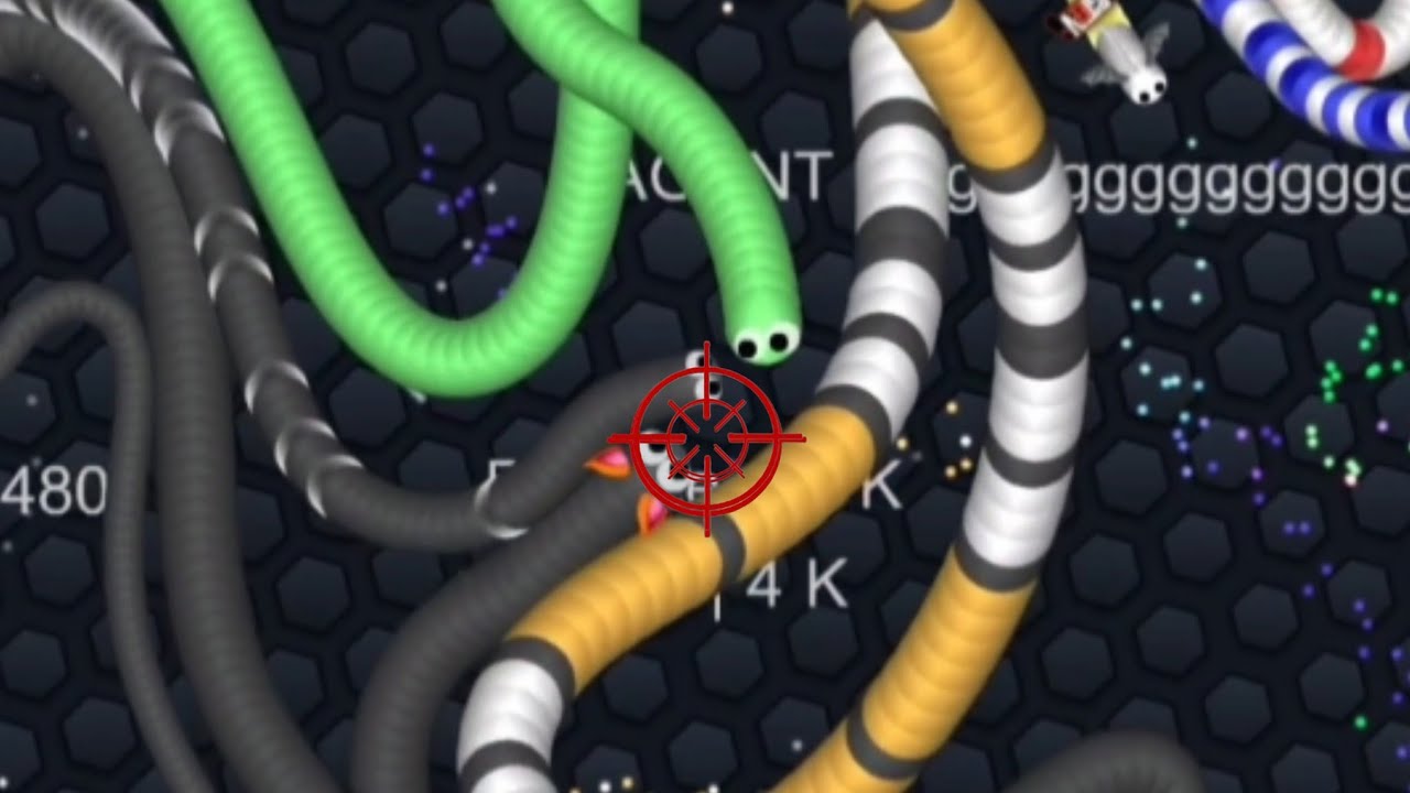 In The Sights   || Slither io