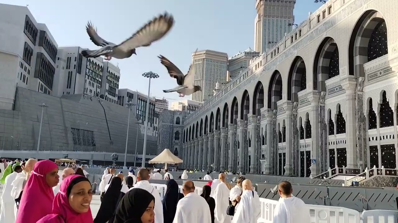 Morning time makkah #makkah #madina #viralvideo #trendingshorts #saudi#dammam #jubail 