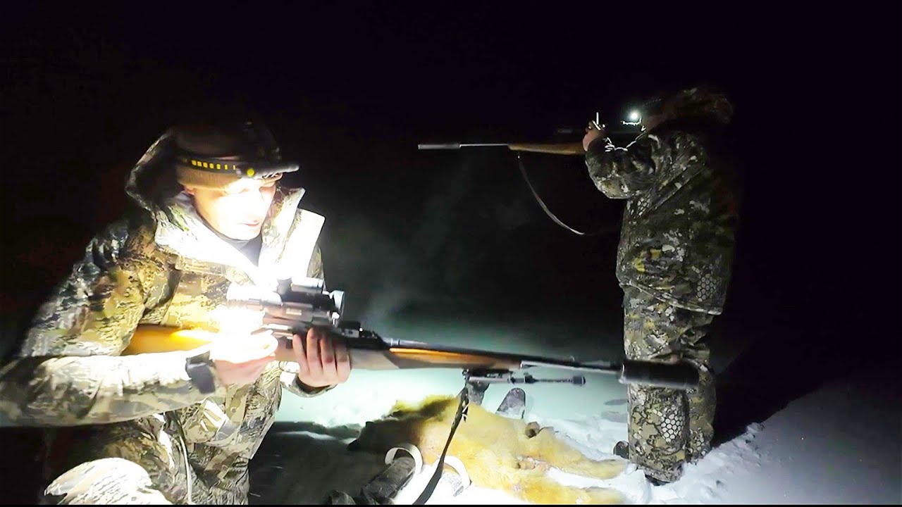 PEOPLE WITH WEAK MENTALITY SHOULD NOT WATCH / THERE ARE TOO MANY OF THESE ANIMALS HERE / PEST HUNT.