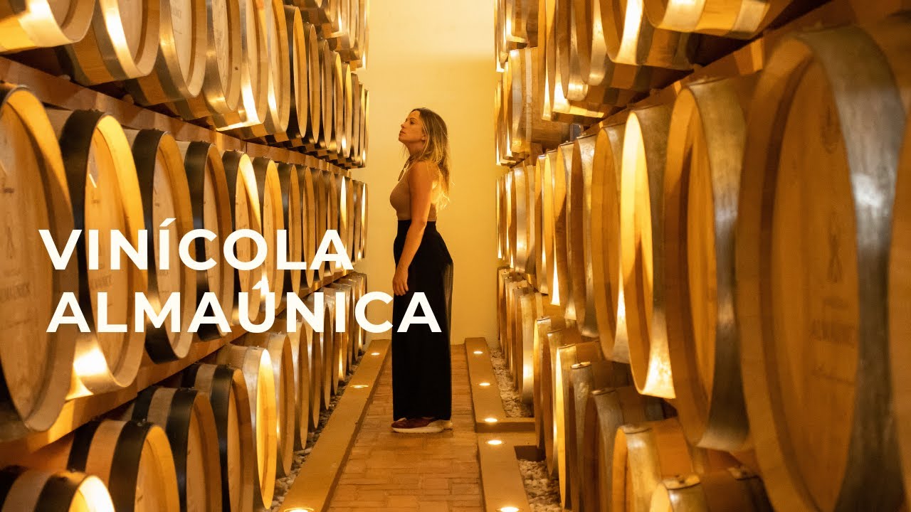 A vinícola dos vinhos incríveis | Almaúnica | Serra Gaúcha