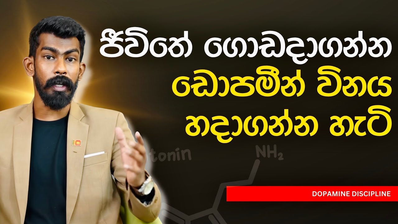 ඩොපමීන් විනය හදාගෙන ජීවිතේ ගොඩදාගන්න - Dopamine Discipline | Big Boss