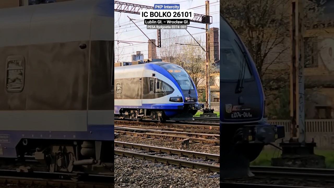 Bydgostia on Rail Switches | ED74 Na Rozjazdach #pesa #shorts #pociąg #train #railway #zug