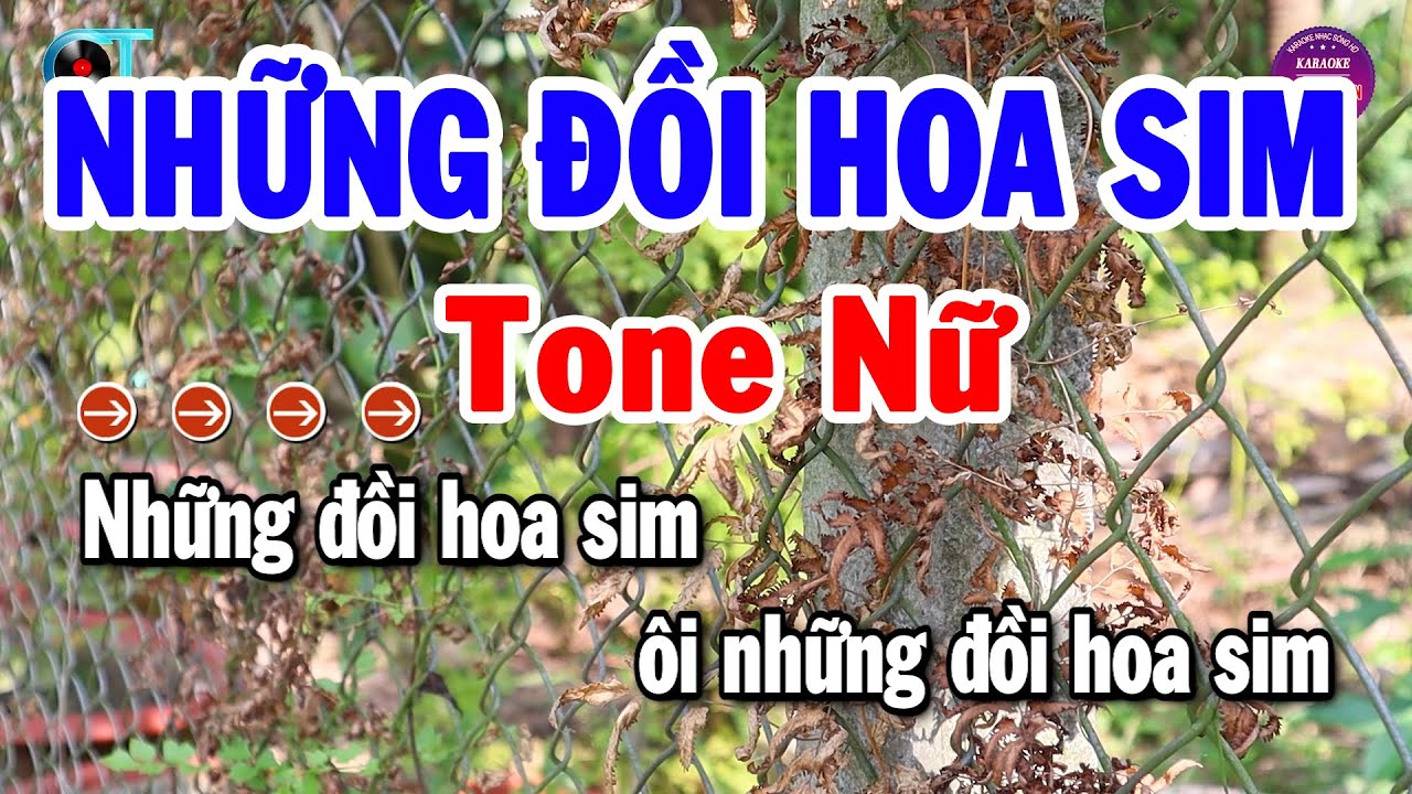Karaoke Những Đồi Hoa Sim Tone Nữ Nhạc Sống 2024 Beat Chuẩn Hay | Karaoke Tuyển Chọn