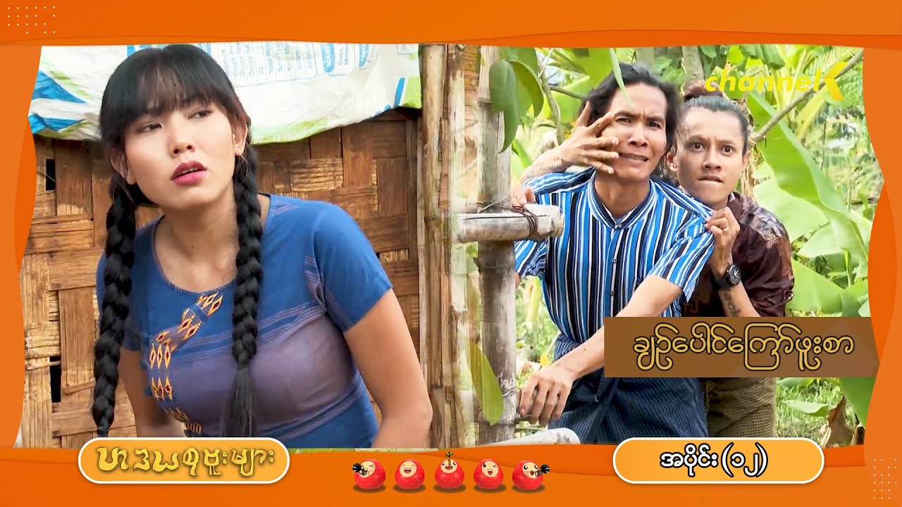 ဟဒယစုဗူးများ - အပိုင်း (၁၂) : ချဉ်ပေါင်ကြော်ဖူးစာ