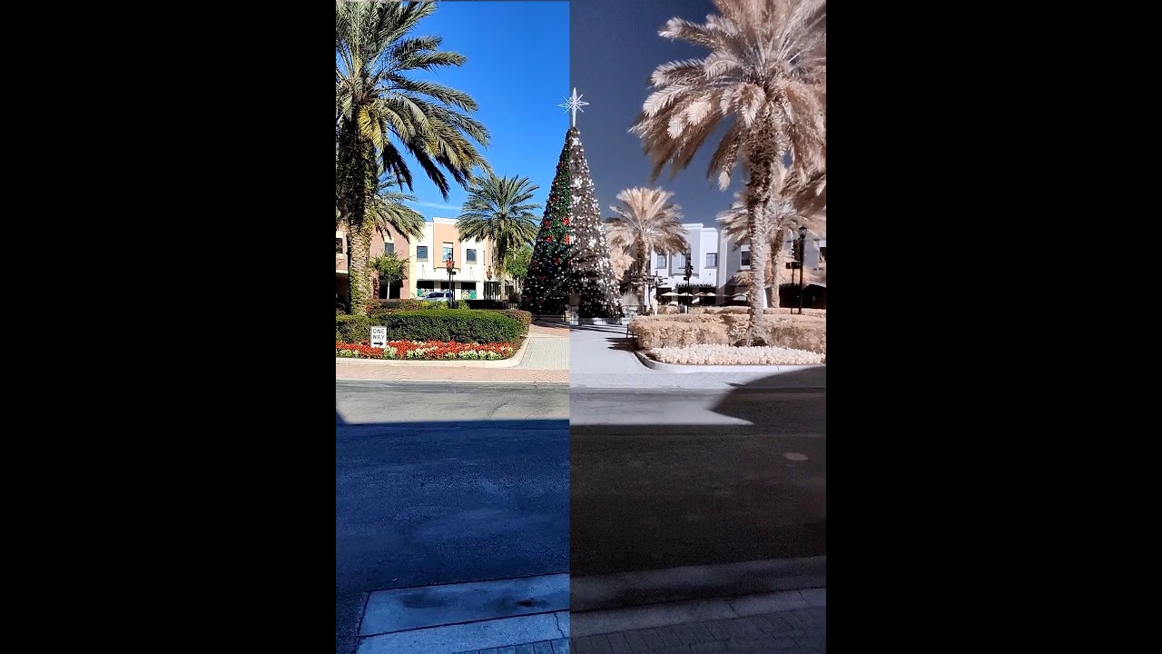 Traffic Circle IR and Color OnePlus 8 Pro IR Photochrome