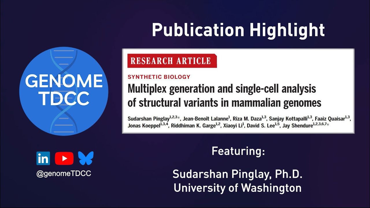 Shuffling Mammalian Genomes