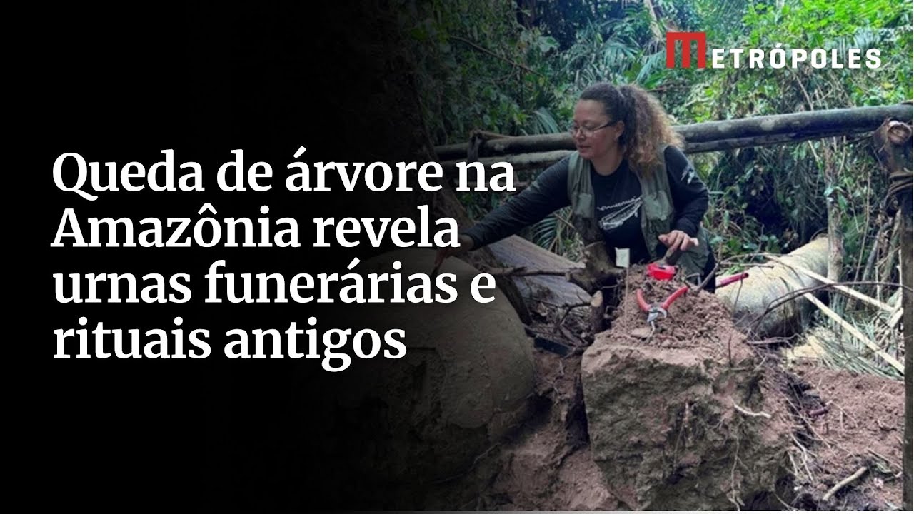 Queda de &aacute;rvore na Amaz&ocirc;nia revela urnas funer&aacute;rias e rituais antigos