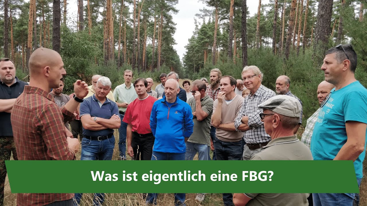 07 Wie arbeitet eine Forstbetriebsgemeinschaft (FBG)?