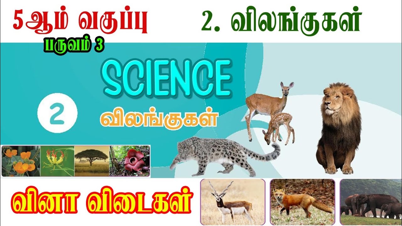 5 ஆம் வகுப்பு அறிவியல் | பருவம் 3 | விலங்குகள் | வினா-விடை 