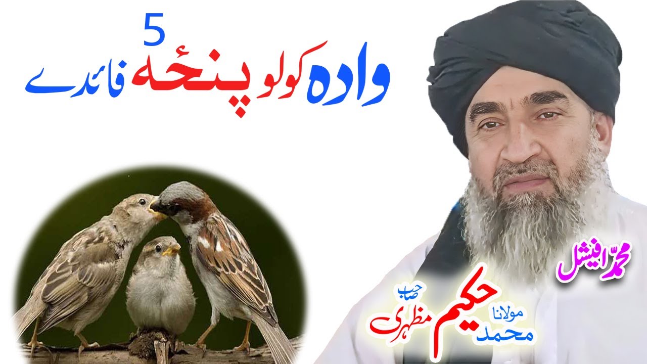 Maulana Hakeem Mazhari Sahib واده کولو پنځه فائدے #pashtobayan #ai #shadi #nikah