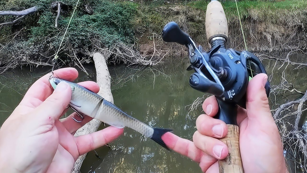 Murray Cod Lure Fishing, Rewarded For Effort