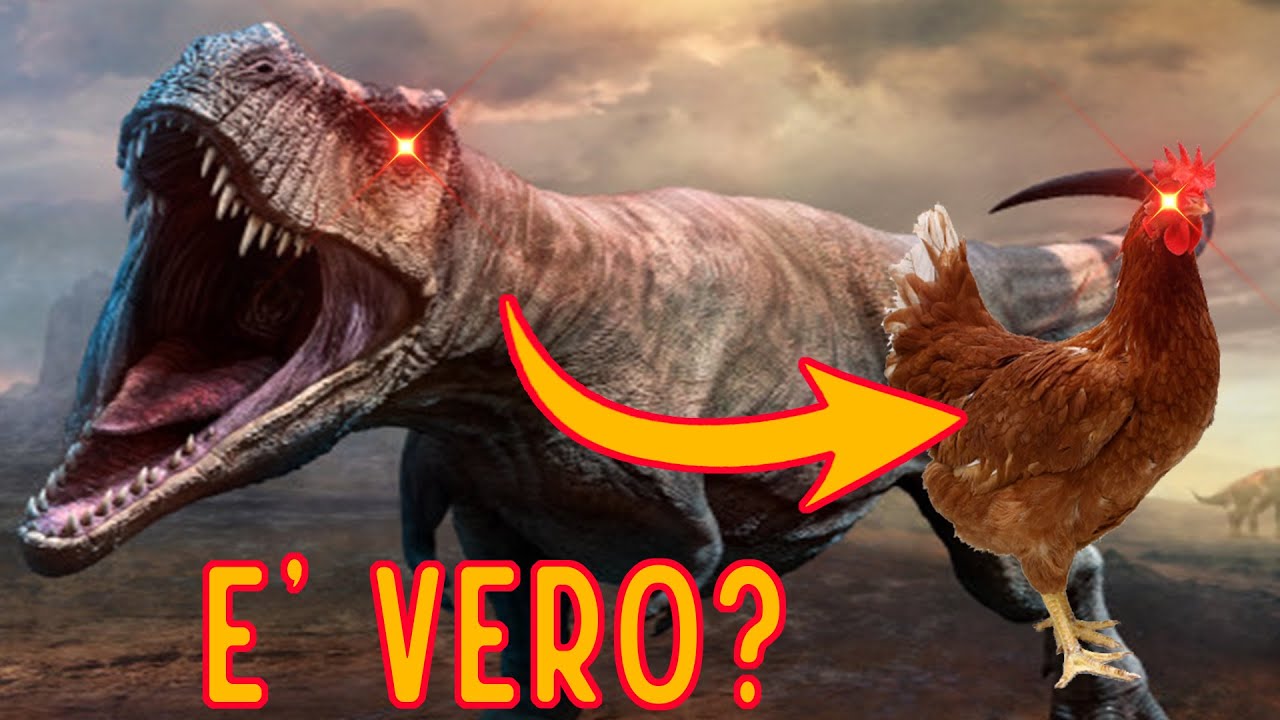 gli UCCELLI sono DINOSAURI?