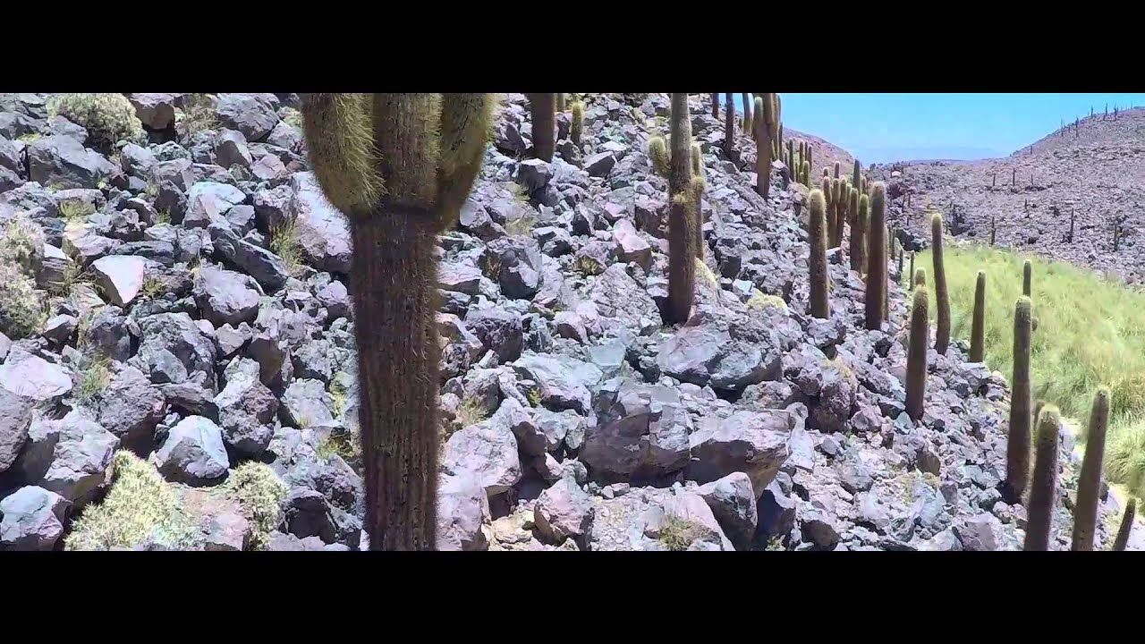 Awasi Atacama - Relais & Chateaux