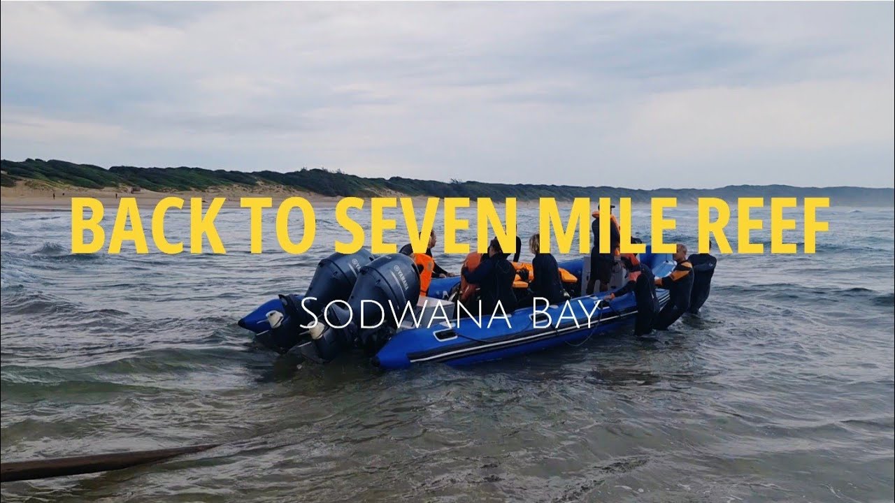 Back to Seven Mile Reef, Sodwana Bay, South Africa 