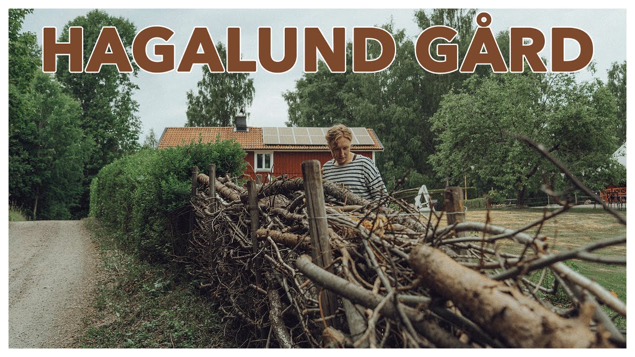 #19 Vi bygger 30 m slystaket! - Hagalund Gård, Återbruk, DIY
