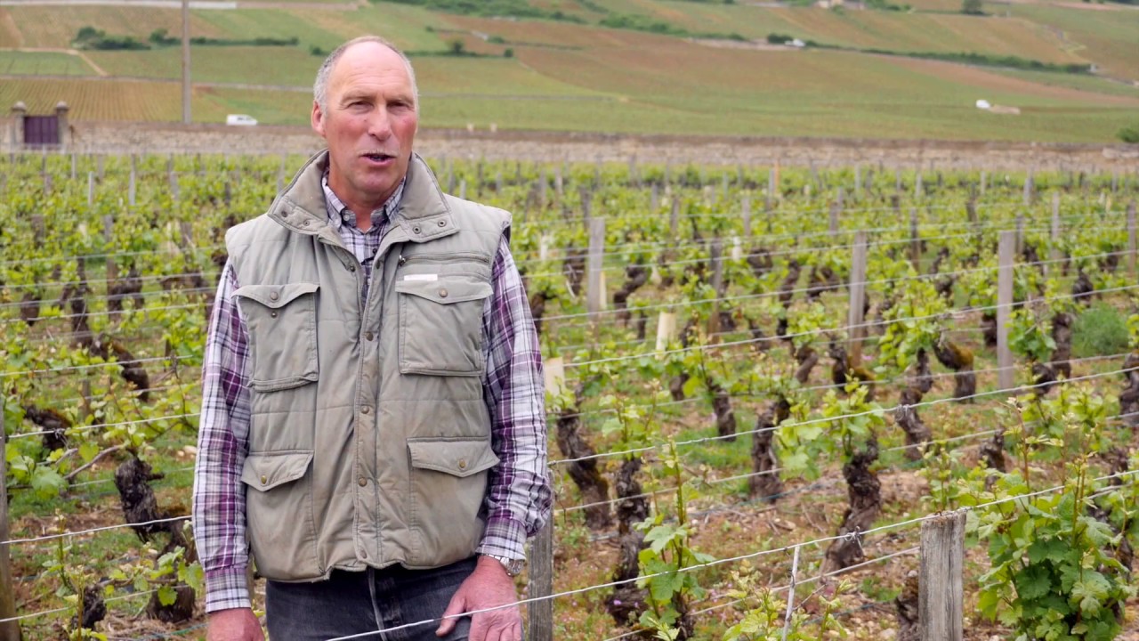 Domaine Michel Gros