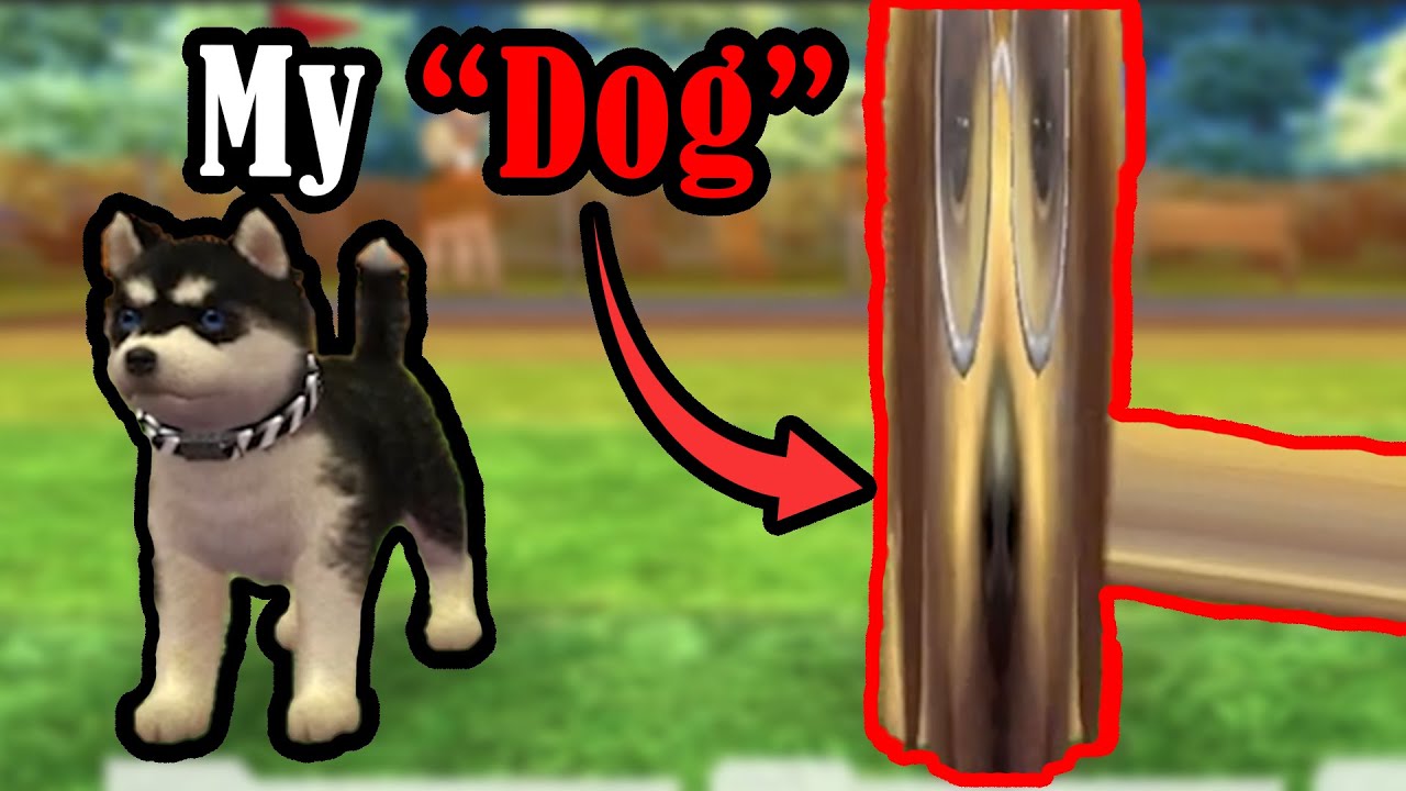 My dog is 