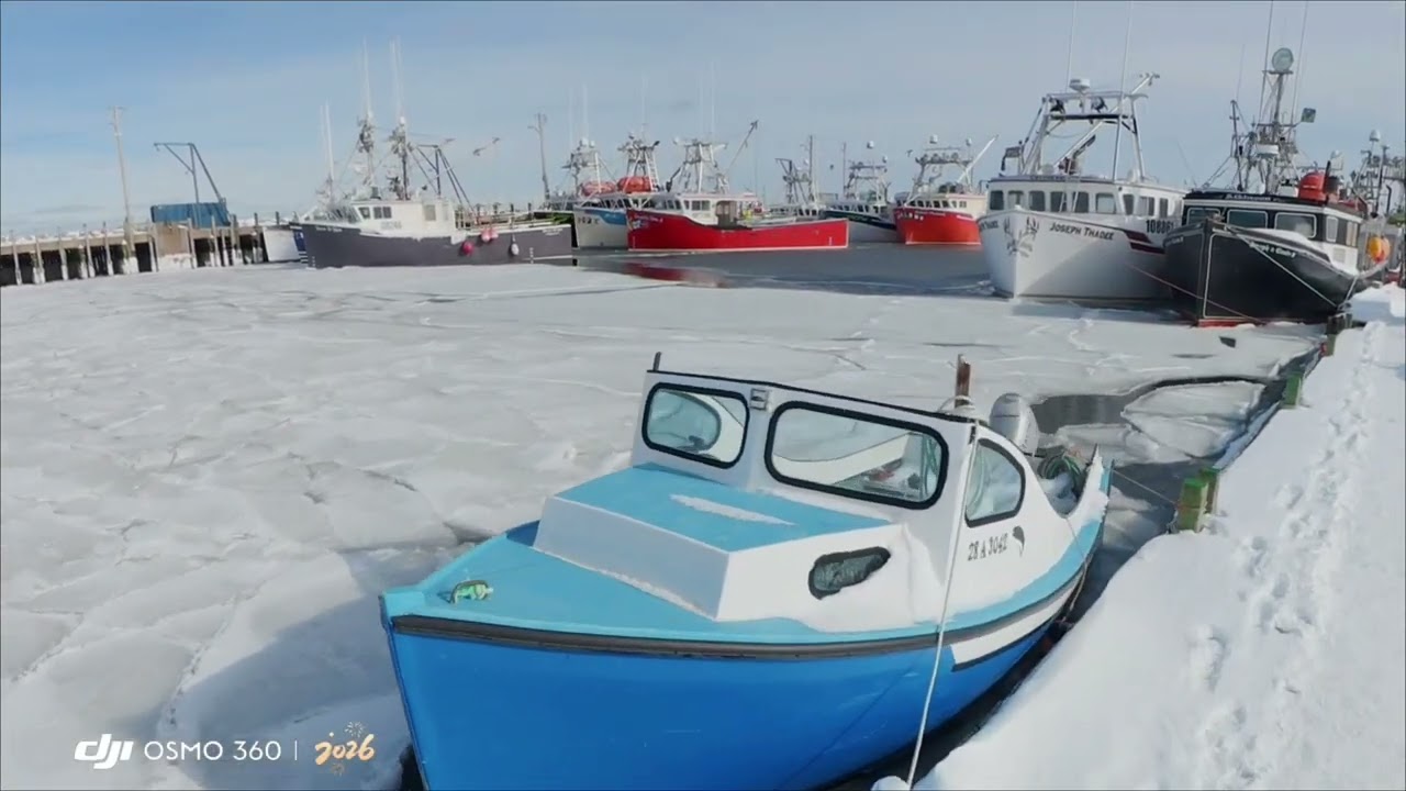 Boats In Frozen Harbour 2026
