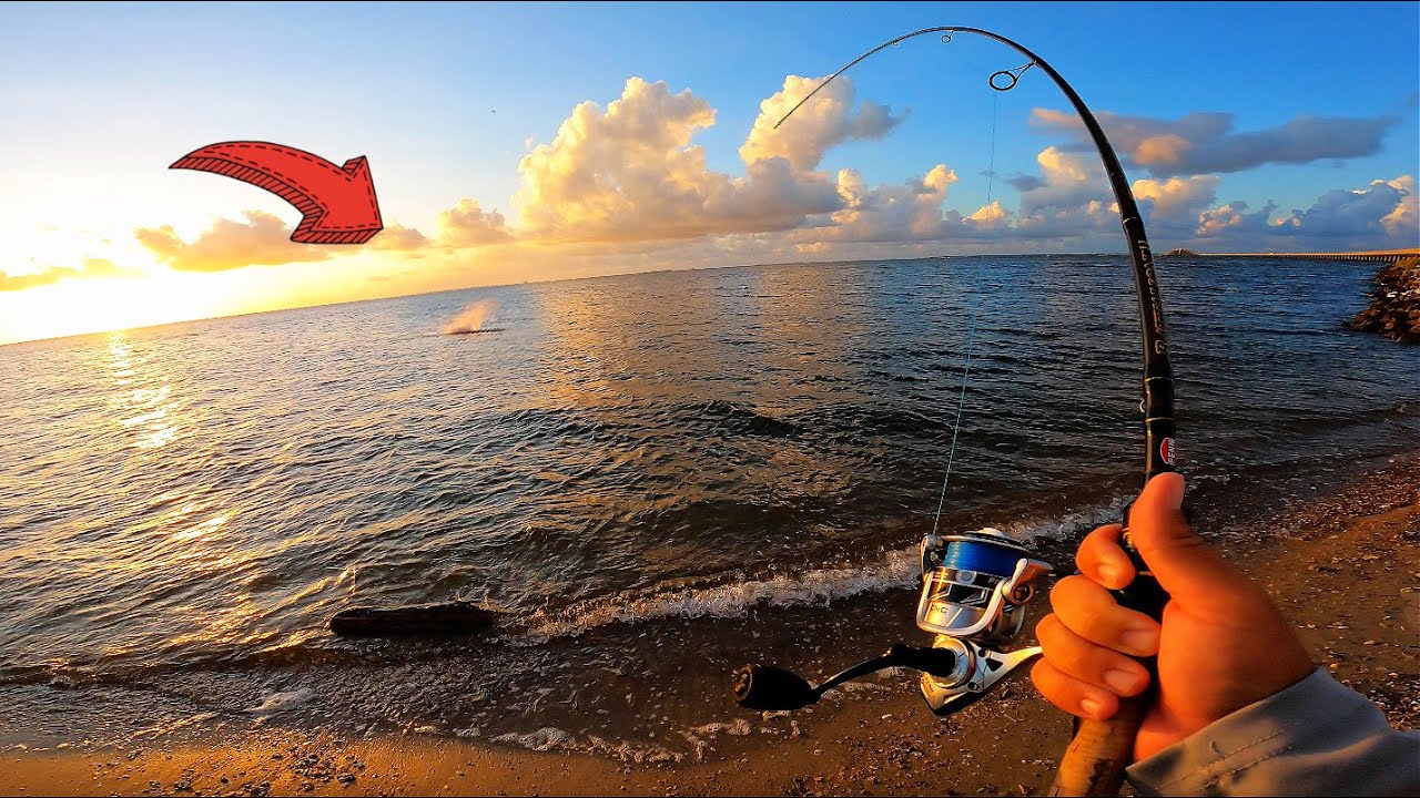 MOST INSANE Beach MONSTER Fight All Year!! *UNBELIEVABLE*