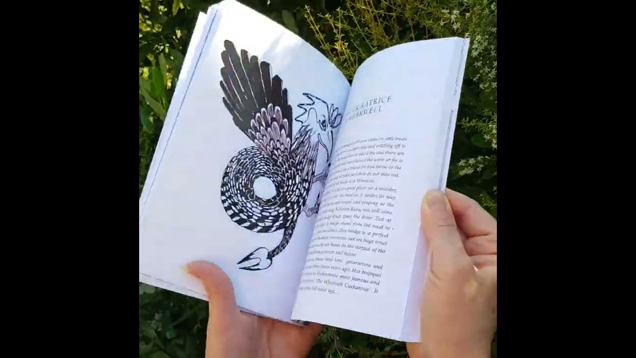 The 'Test Valley Tales' Paperback short video