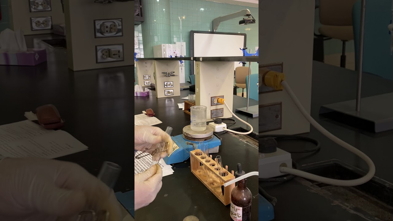 Ninhydrin test for amino acids | اختبار نينهيدرين