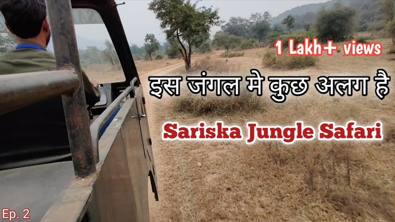 #Alwar Sariska Tiger Reserve Jungle Safari | All Information | Details about Safari | Episode 2