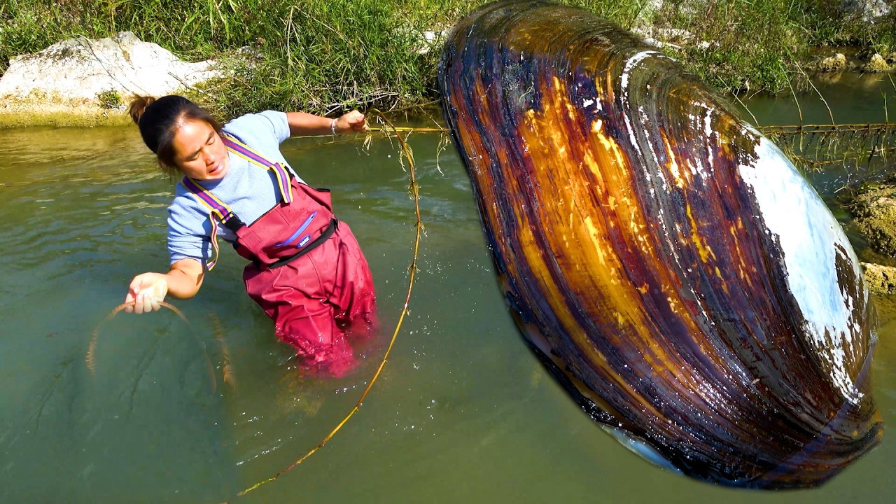 This is the King of Clams, let's see its beautiful pearls