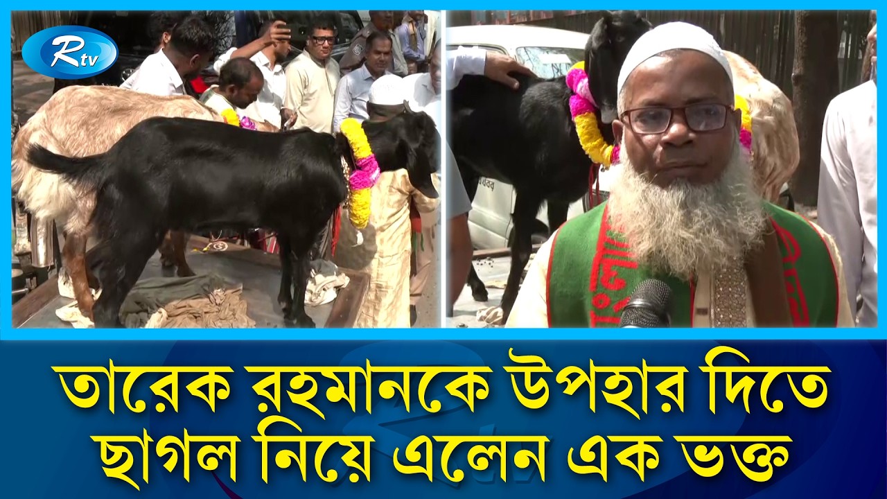 প্রধানমন্ত্রী তারেক রহমানকে উপহার দিতে ছাগল নিয়ে এলেন এক ভক্ত | BNP | Tarique Rahman | Rtv News